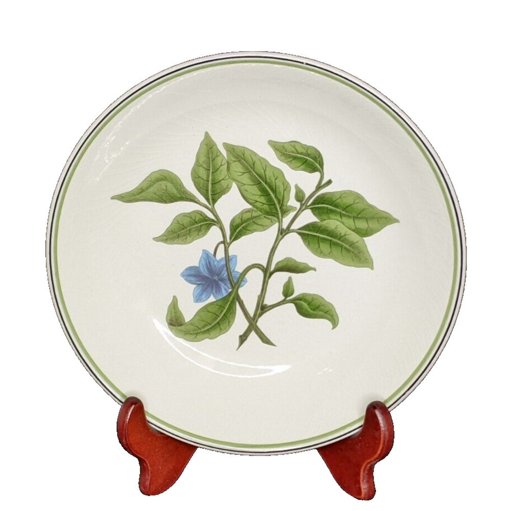 Williams Sonoma Pasta Bowl Individual Portugal Blue Flower Vine 9.25" x 2"